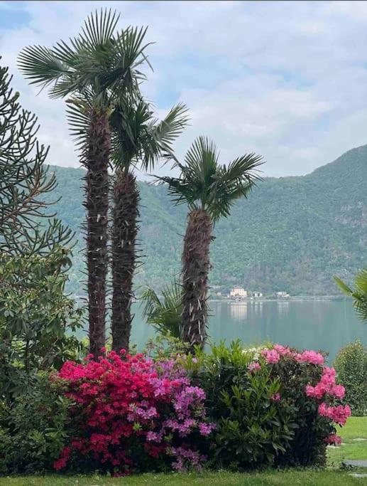 Appartamento Con Piscina E Sauna Bissone Εξωτερικό φωτογραφία